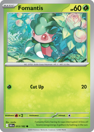 Fomantis 13 / 182