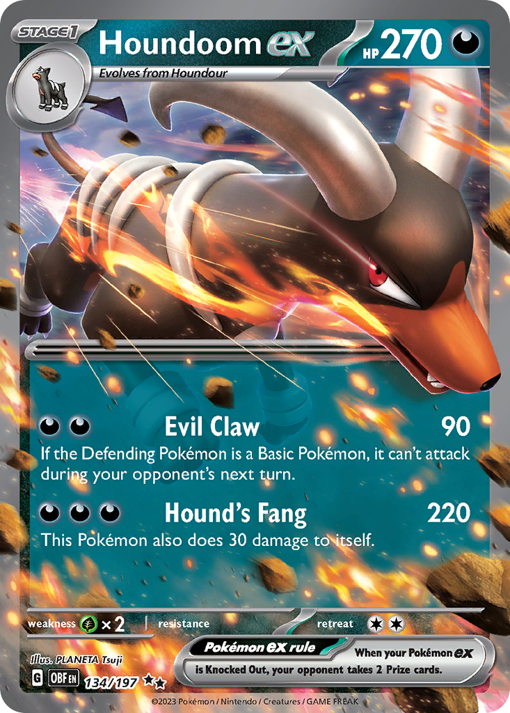 Houndoom ex 134 / 197