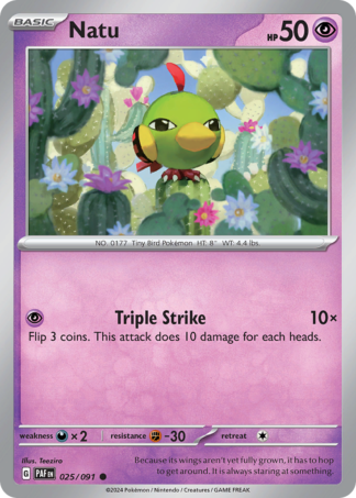 Natu 25 / 91