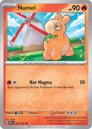 Numel 31 / 197