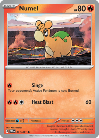 Numel 11 / 91