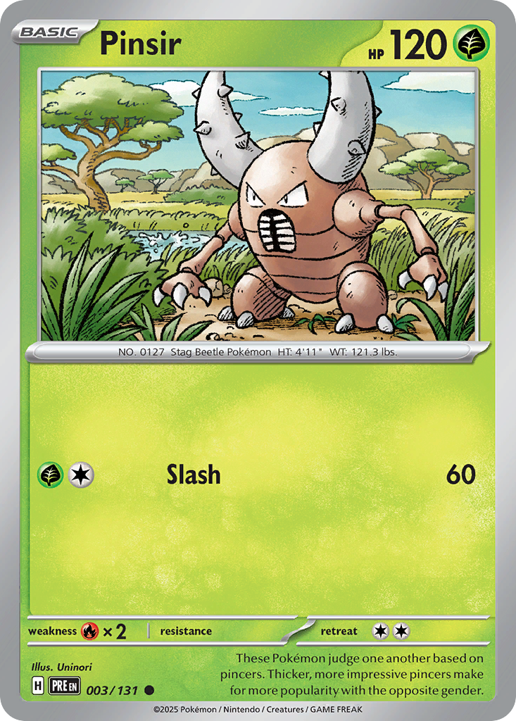 Pinsir 3 / 131