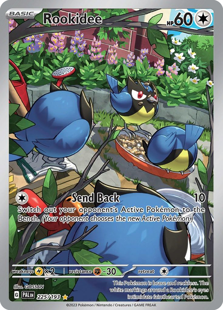 Rookidee 225 / 193