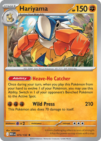 Hariyama 73 / 132