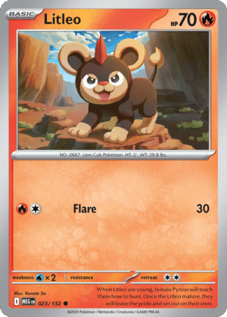 Litleo 23 / 132