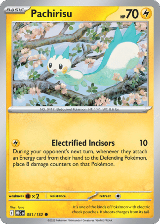 Pachirisu 51 / 132