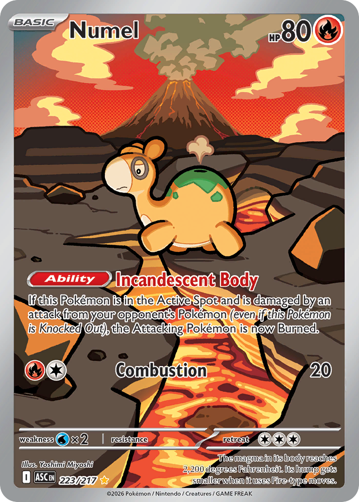 Numel 223 / 217