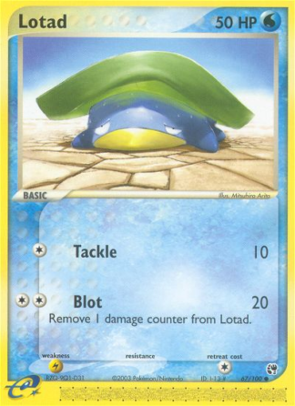 Lotad 67 / 100
