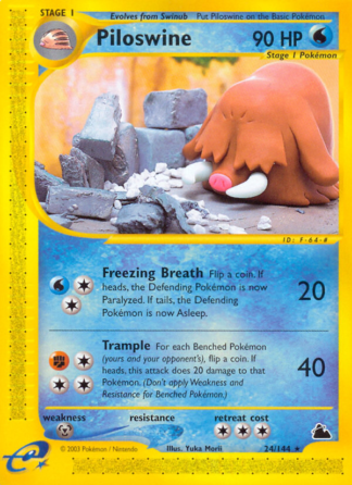 Piloswine 24 / 144