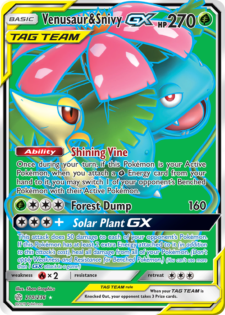 Venusaur & Snivy-GX 210 / 236