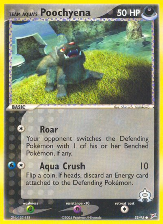 Team Aqua's Poochyena 55 / 95