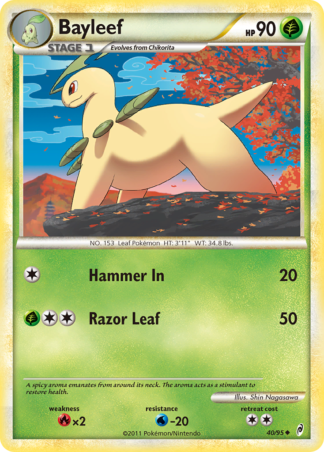 Bayleef 40 / 95