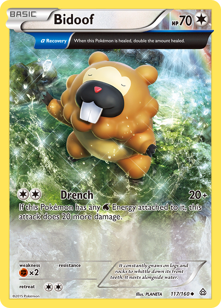 Bidoof 117 / 160