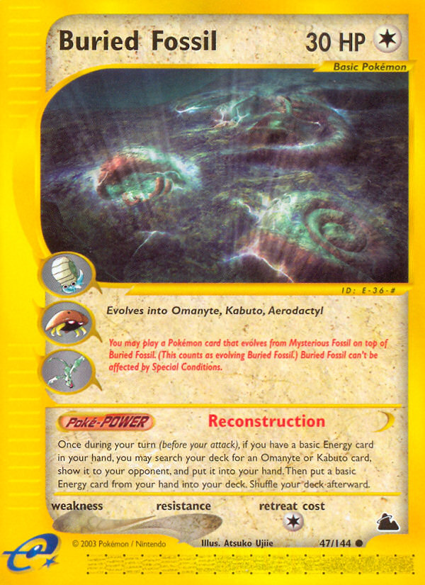 Buried Fossil 47 / 144