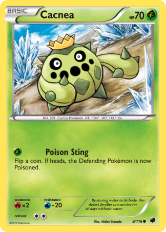 Cacnea 9 / 116