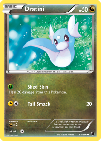 Dratini 81 / 116