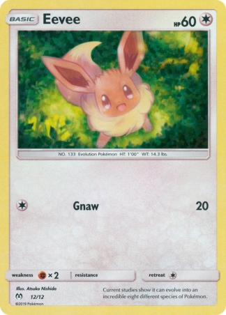 Eevee 12 / 12
