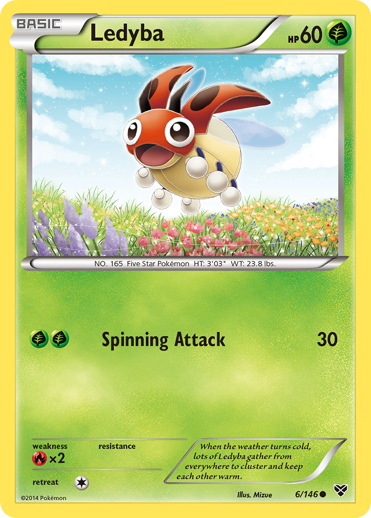 Ledyba 6 / 146