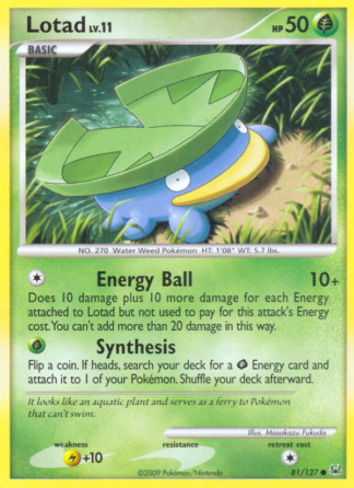 Lotad 81 / 127