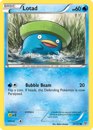Lotad 29 / 135