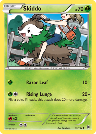 Skiddo 16 / 162