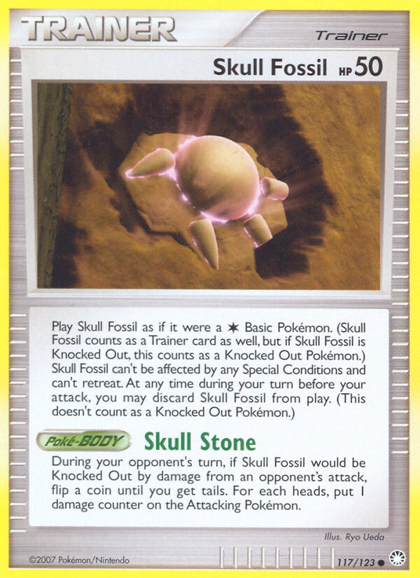 Skull Fossil 117 / 123