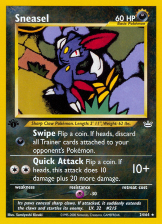Sneasel 24 / 64