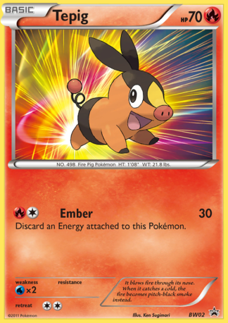 Tepig BW02 / 101
