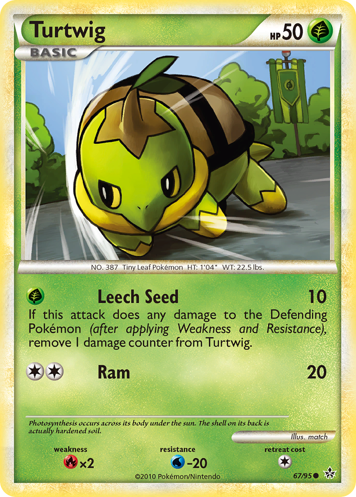Turtwig 67 / 95